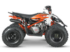 KAYO RAGING BULL AT110 ATV